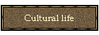 Cultural life